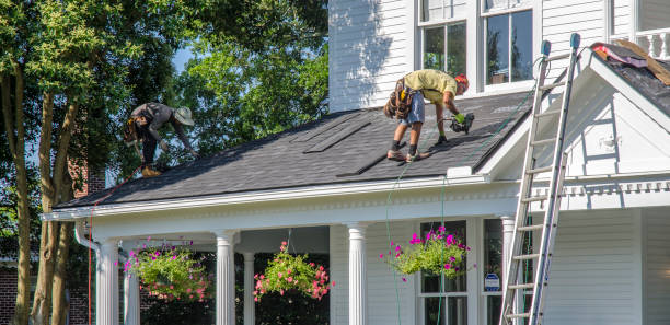 Best Storm Damage Roof Repair  in Laurel, MS